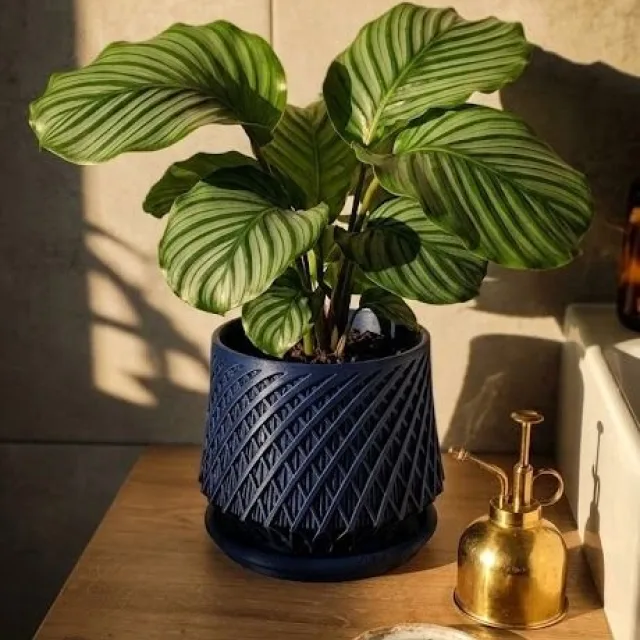 Geometric Pot