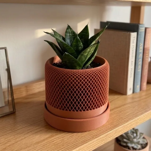Terra Lattice Pot