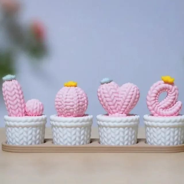 Cactus Decor Love